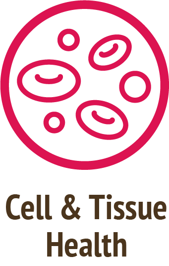 cell tissue health pink icon do only good pet food