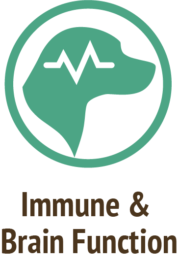immune brain health brown icon do only good pet food