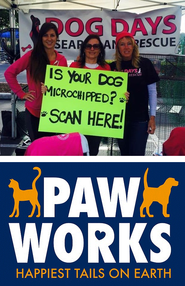 lifestyle dog days search rescue paw works local organizations