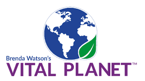 vital planet logo